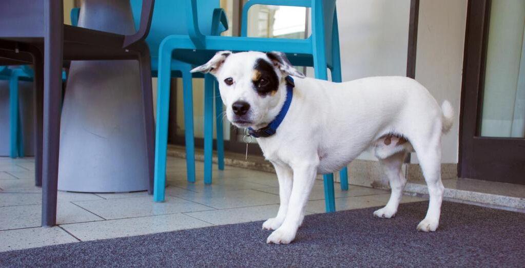 Ivana Lido di Jesolo